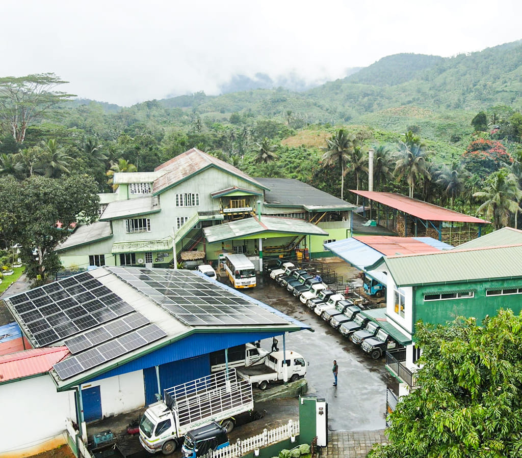 Rajjuruwatte Tea Factory